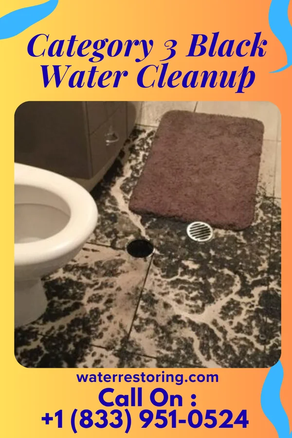Category 3 Black Water Cleanup in Canastota, NY