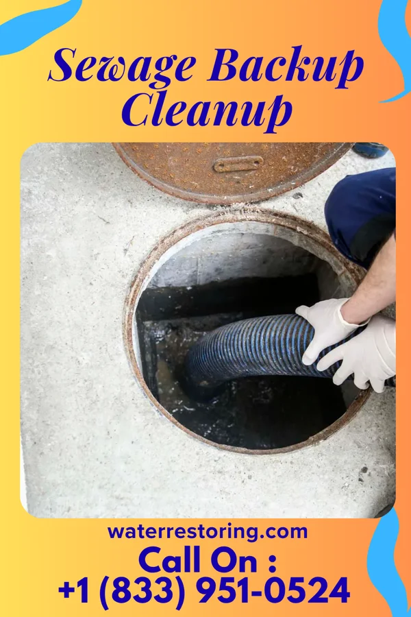 Sewage Backup Cleanup in Canastota, NY